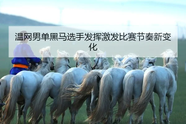 wen-wang-nan-dan-hei-ma-xuan-shou-fa-hui-ji-fa-bi-sai-jie-zou-xin-bian-hua-2-171.jpg